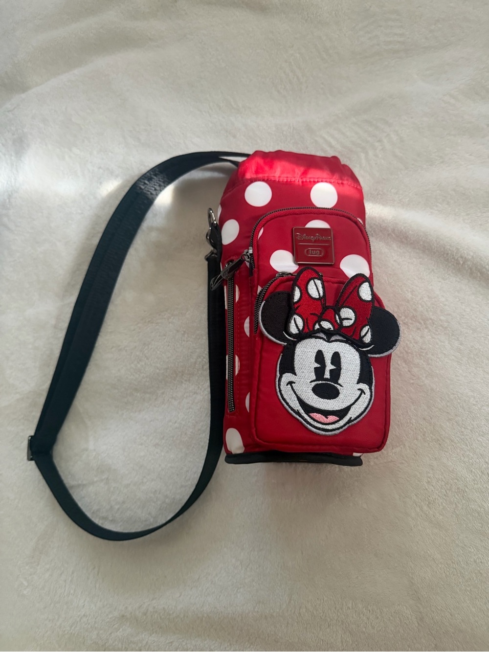 Disney lug bag